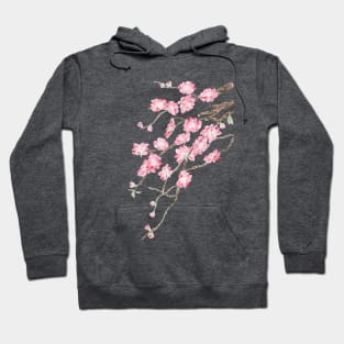 pink peach blossoms 2022 Hoodie